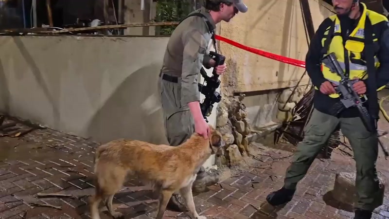 BREAKING VIDEO: IDF SOLDIER RESCUES CRYING DOG FROM MISSILE STRIKE